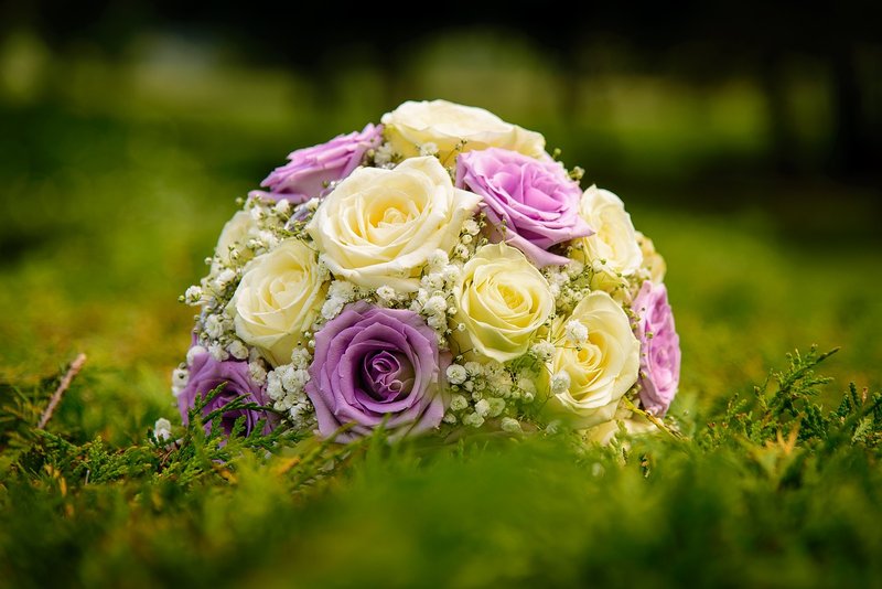 Arrangement de roses