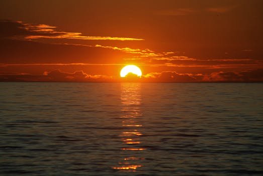 El sol