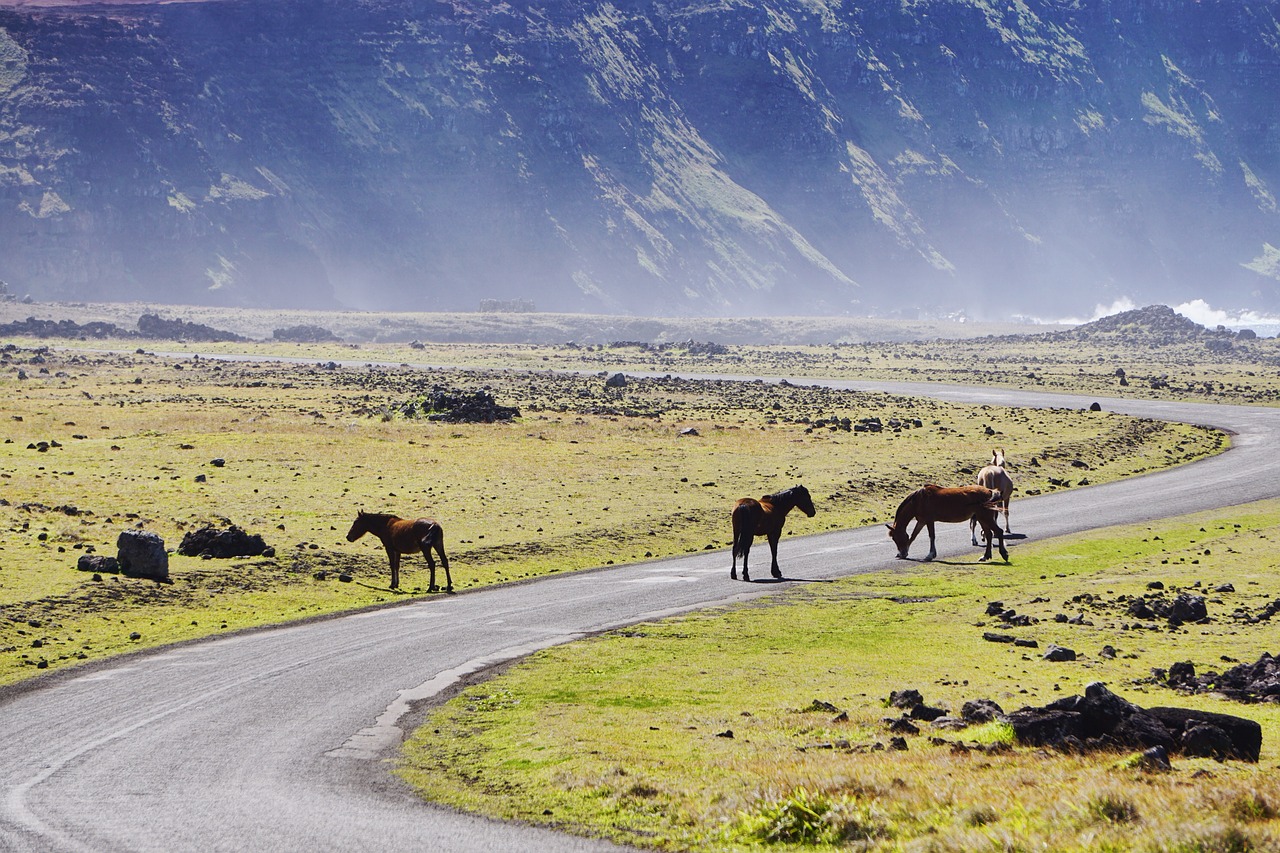 Patagonia Voyages